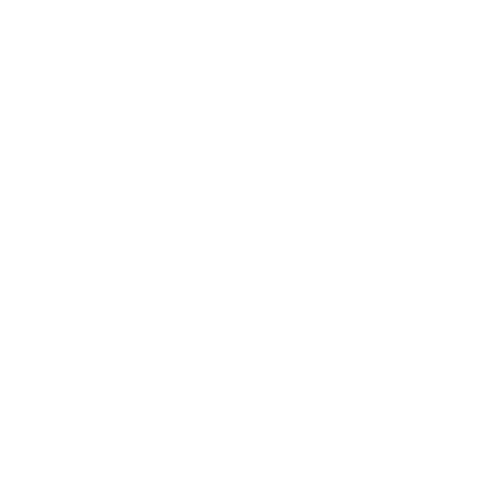 SaleSurf Growth